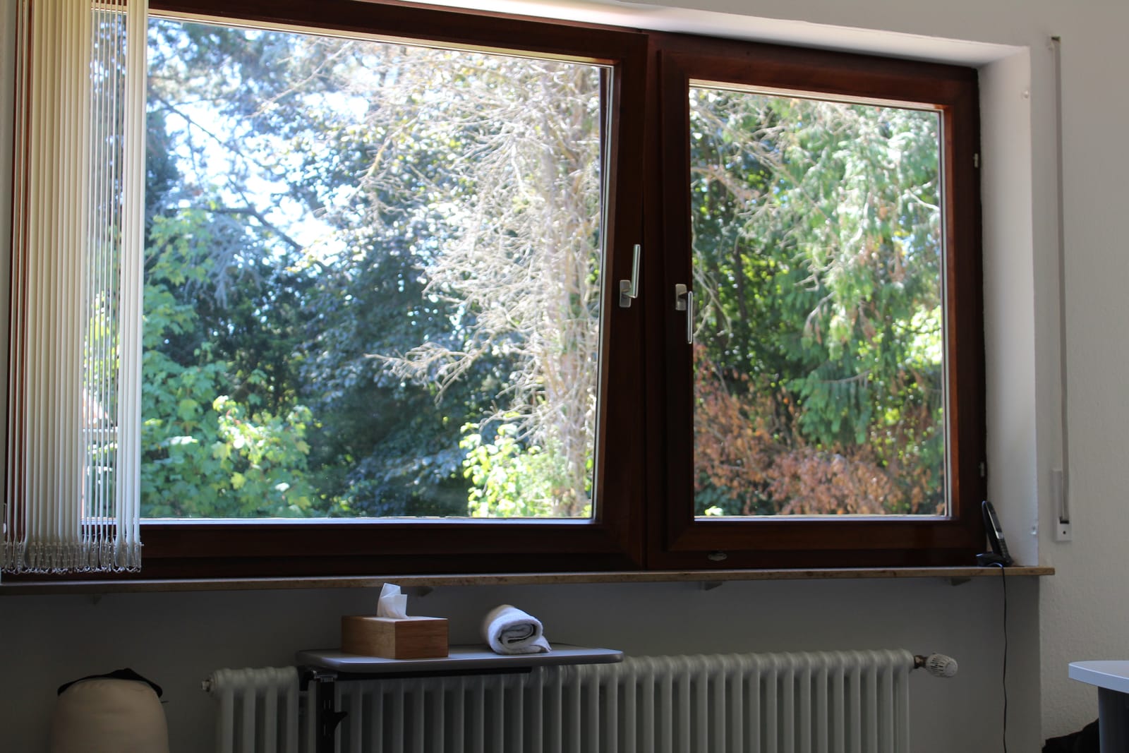 Fenster des Behandlungsraums mit Blick ins Grüne